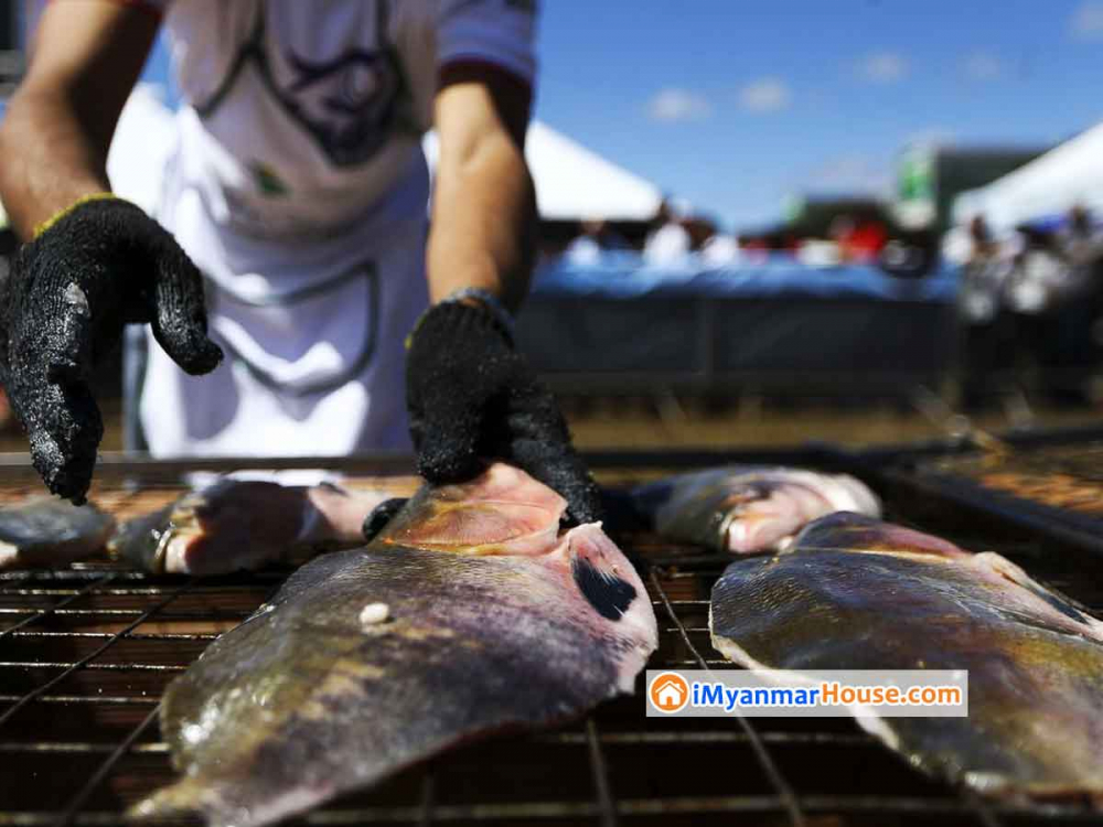 China suspends fish imports from Brazilian company because of Covid-19 in the packaging - Property News in Myanmar from iMyanmarHouse.com
