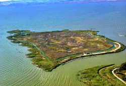 ‘Idyllic’ private island on edge of San Francisco Bay on sale for $75 million