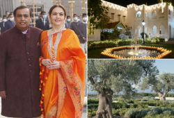 Asia’s richest man, Mukesh Ambani, is so superstitious that he spent $120,000 to import two olive trees from Spain to his ancestral home in India