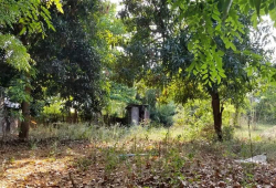 Land For Sale Near Monywa Technological University