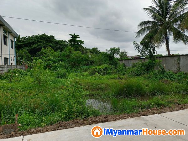 မြေအကျယ် (80×60) မြေကွက်ရောင်းမည် - ရောင်းရန် - ဒဂုံမြို့သစ် မြောက်ပိုင်း (Dagon Myothit (North)) - ရန်ကုန်တိုင်းဒေသကြီး (Yangon Region) - 2,650 သိန်း (ကျပ်) - S-10071299 | iMyanmarHouse.com