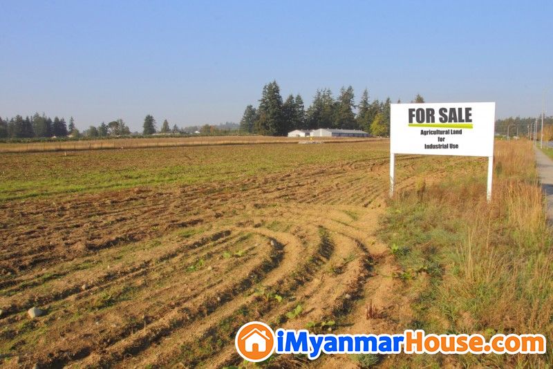မြေအကျယ်(25 ဧက)လယ်မြေ ရောင်းမည်။ - ရောင်းရန် - လှိုင်သာယာ (Hlaingtharya) - ရန်ကုန်တိုင်းဒေသကြီး (Yangon Region) - 0 သိန်း (ကျပ်) - S-10190521 | iMyanmarHouse.com