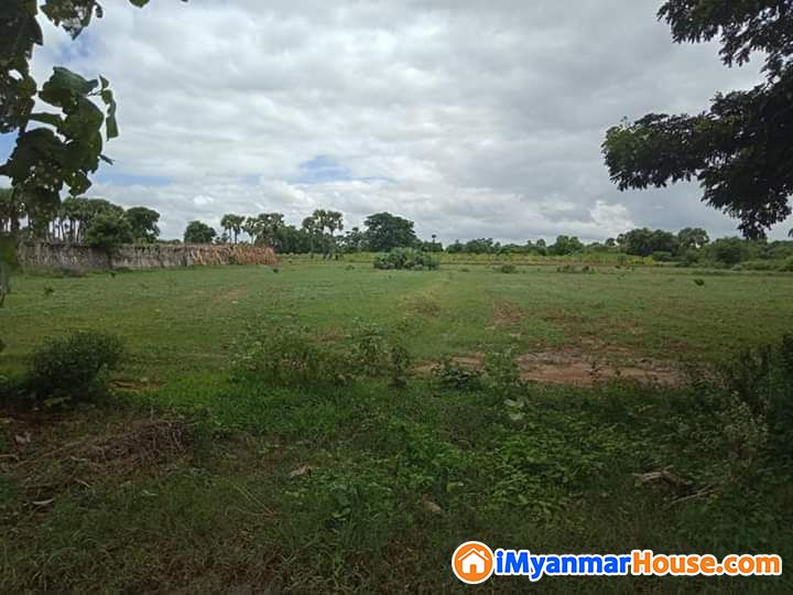 2.5ဧကနစ်30ဂရန်မြေရောင်းမည် - ရောင်းရန် - ညောင်ဦး (Nyaung-U) - မန္တလေးတိုင်းဒေသကြီး (Mandalay Region) - 7,000 သိန်း (ကျပ်) - S-10198191 | iMyanmarHouse.com