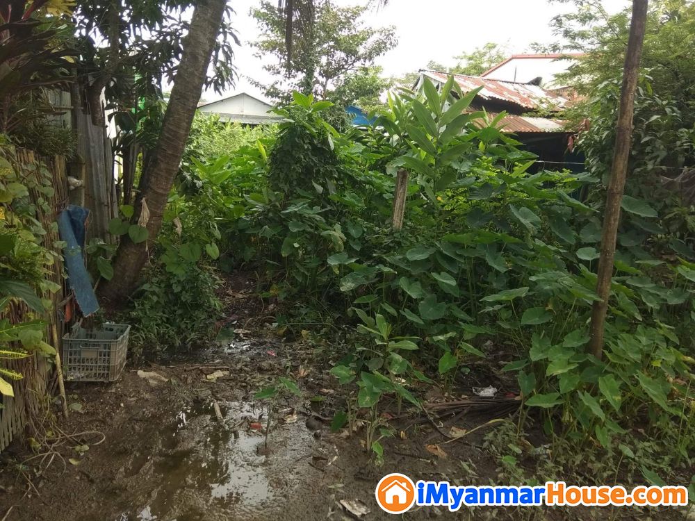 မြေကွက် သီးသန့် အရောင်း - ရောင်းရန် - ရွှေပြည်သာ (Shwepyithar) - ရန်ကုန်တိုင်းဒေသကြီး (Yangon Region) - 230 သိန်း (ကျပ်) - S-10246291 | iMyanmarHouse.com