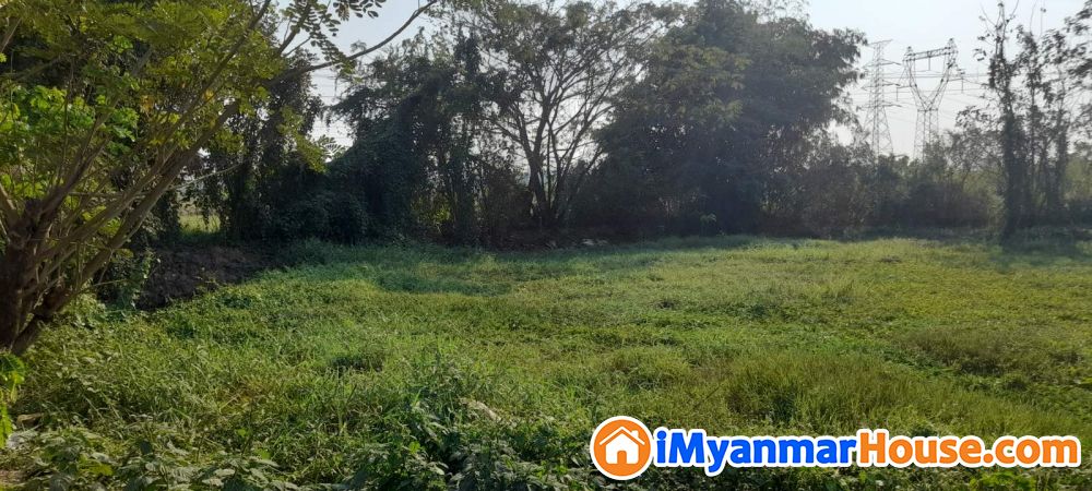 ▶️ထန်းတပင်မြို့နယ် လမ်းမတန်းစက်မှု့ဂရန်မြေ (13) ဧက ရောင်းမည်◀️ - ရောင်းရန် - ထန်းတပင် (Htantabin) - ရန်ကုန်တိုင်းဒေသကြီး (Yangon Region) - 3,000 သိန်း (ကျပ်) - S-10285077 | iMyanmarHouse.com
