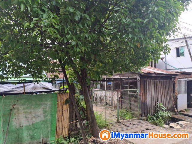 သံသုမာလမ်းကျောကပ်ရှိ ပျဉ်ထောင်အိမ်ပါမြေကွက်ကို ဈေးတန်တန်ဖြင့်ရောင်းမည် - ရောင်းရန် - သင်္ဃန်းကျွန်း (Thingangyun) - ရန်ကုန်တိုင်းဒေသကြီး (Yangon Region) - 1,350 သိန်း (ကျပ်) - S-10290483 | iMyanmarHouse.com