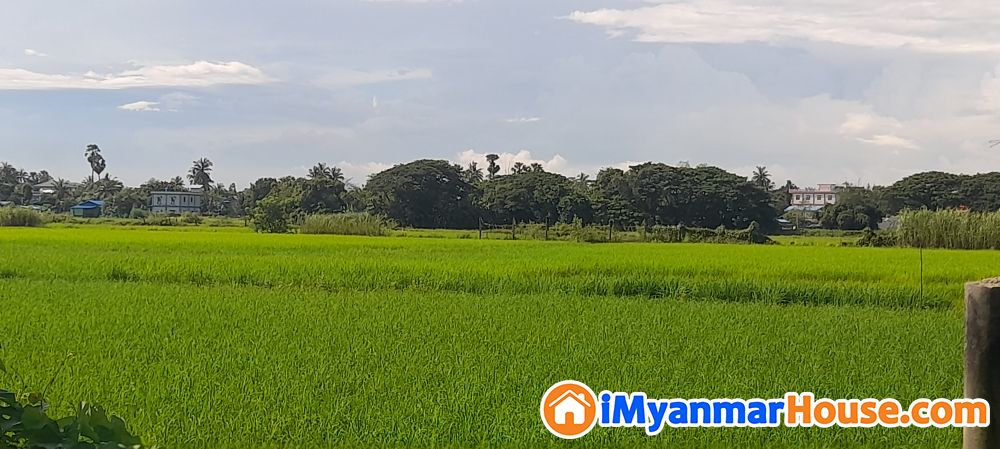 💥အမှတ်(7)လမ်းမတန်းတွင် ​နေရာ​ကောင်း​မြေကွက်​ရောင်းမည်👉 - ရောင်းရန် - လှည်းကူး (Hlegu) - ရန်ကုန်တိုင်းဒေသကြီး (Yangon Region) - 1,800 သိန်း (ကျပ်) - S-10464728 | iMyanmarHouse.com