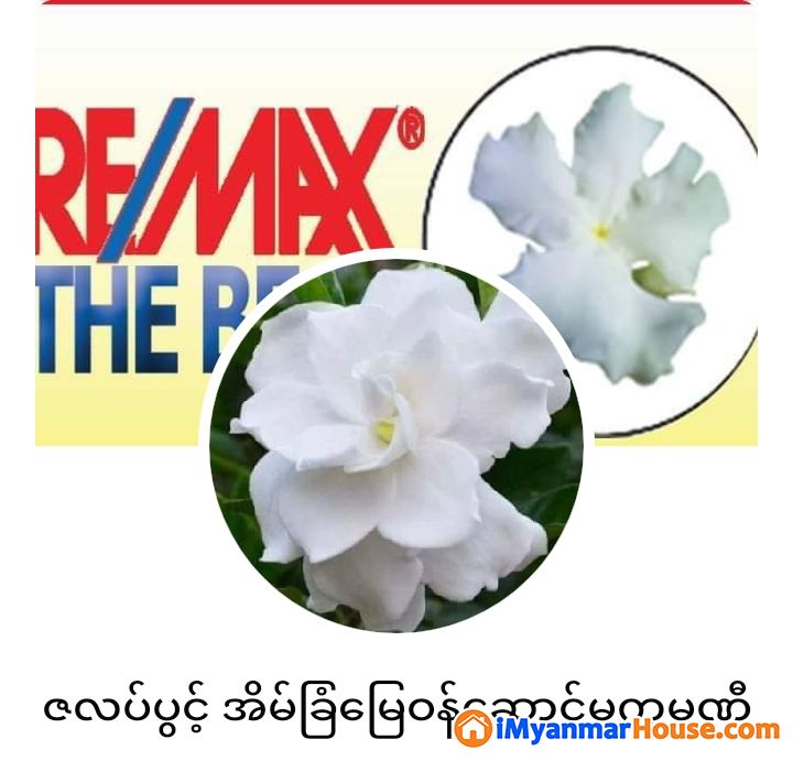 စမ်းချောင်း မြေညီ ထပ်တိုက်ခန်းရောင်းရန်ရှိသည်။ - For Sale - စမ်းချောင်း (Sanchaung) - ရန်ကုန်တိုင်းဒေသကြီး (Yangon Region) - 1,100 Lakh (Kyats) - S-10624770 | iMyanmarHouse.com