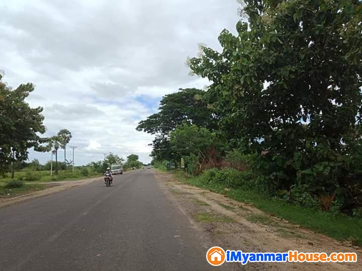 2.5ဧကဂရန်မြေရောင်းမည် - ရောင်းရန် - ညောင်ဦး (Nyaung-U) - မန္တလေးတိုင်းဒေသကြီး (Mandalay Region) - 7,000 သိန်း (ကျပ်) - S-10659498 | iMyanmarHouse.com