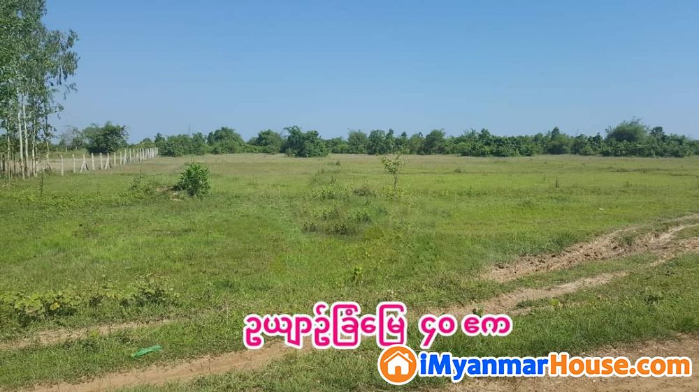 လက်မလွှတ်သင့်​သော ဥယျာဥ်ခြံ​မြေ ​နေရာ​ကောင်းများ ​ရောင်းပါမည် - For Sale - တိုက်ကြီး (Taikkyi) - ရန်ကုန်တိုင်းဒေသကြီး (Yangon Region) - 45 Lakh (Kyats) - S-10682388 | iMyanmarHouse.com