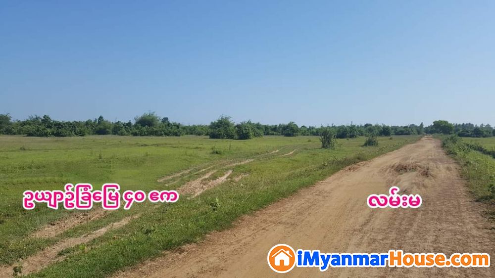 ဥယျာဥ်ခြံ​မြေ ​နေရာ​ကောင်းများ - ရောင်းရန် - တိုက်ကြီး (Taikkyi) - ရန်ကုန်တိုင်းဒေသကြီး (Yangon Region) - 45 သိန်း (ကျပ်) - S-10735493 | iMyanmarHouse.com