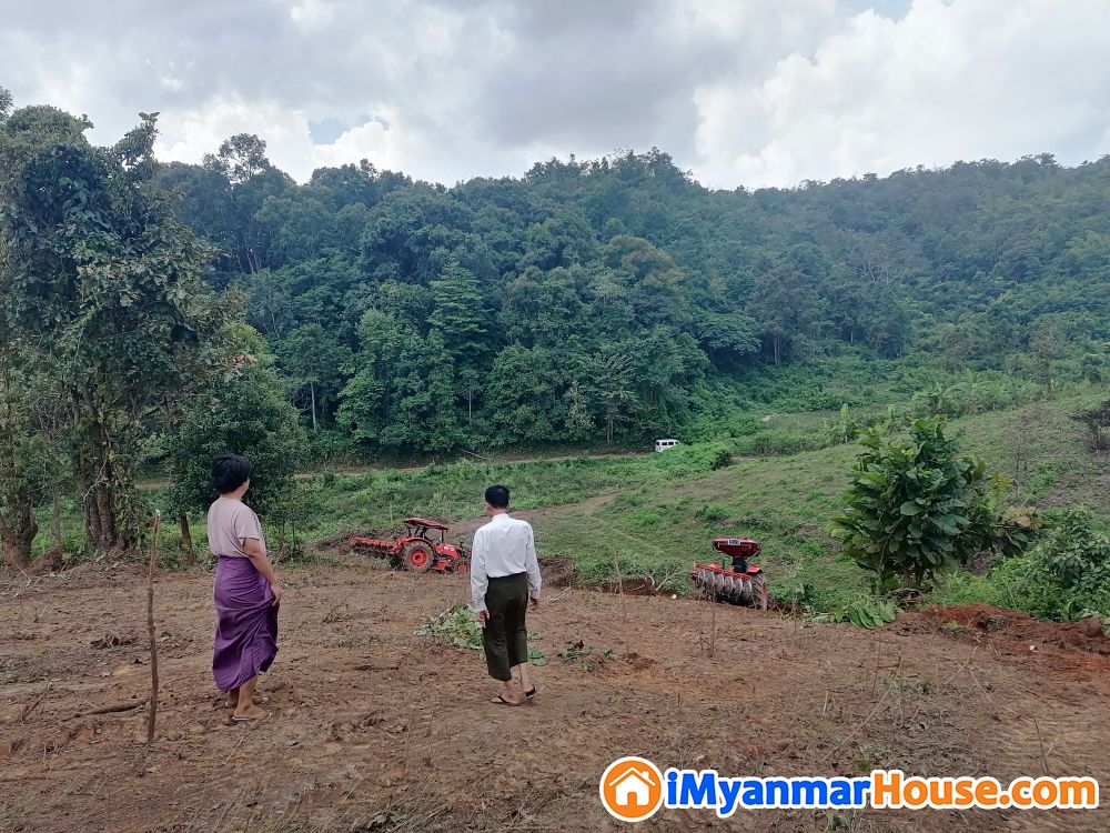 အနီးစခန်း/သပြေကျင်းအုပ်စု/စီးသာရွာ - ရောင်းရန် - ပြင်ဦးလွင် (Pyin Oo Lwin) - မန္တလေးတိုင်းဒေသကြီး (Mandalay Region) - 1,100 သိန်း (ကျပ်) - S-10754590 | iMyanmarHouse.com