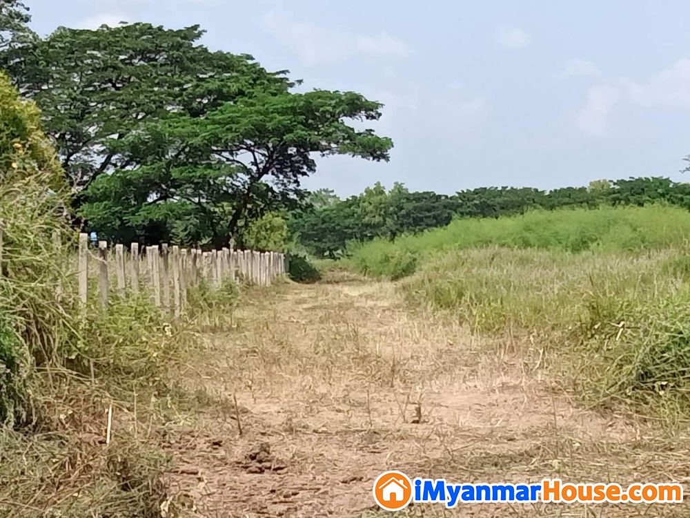 မင်္ဂလာဒုံမြို့နယ် မြေကွက်ရောင်းမည် - ရောင်းရန် - ပုလဲမြို့သစ် (Palae Myothit) - ရန်ကုန်တိုင်းဒေသကြီး (Yangon Region) - 500 သိန်း (ကျပ်) - S-10773837 | iMyanmarHouse.com