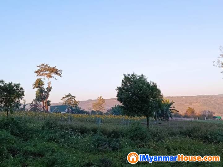 ပြင်ဦးလွင်မြို့ မြေကွက် ရောင်းရန်ရှိသည် - For Sale - ပြင်ဦးလွင် (Pyin Oo Lwin) - မန္တလေးတိုင်းဒေသကြီး (Mandalay Region) - 165 Lakh (Kyats) - S-10886160 | iMyanmarHouse.com