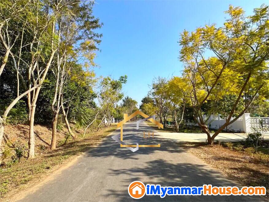 (0.45 ဧက)အကျယ် ၊ ပြင်ဦးလွင်မြို့၊ အိမ်တော်လမ်းမပေါ် တွင် မြေကွက် ရောင်းရန်ရှိ - For Sale - ပြင်ဦးလွင် (Pyin Oo Lwin) - မန္တလေးတိုင်းဒေသကြီး (Mandalay Region) - 11,000 Lakh (Kyats) - S-11024420 | iMyanmarHouse.com