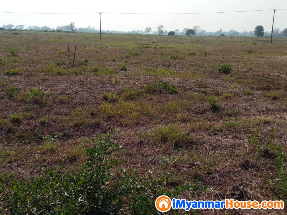 မြေကွက်ရောင်းရန် - ရောင်းရန် - လက်ပံတန်း (Letpadan) - ပဲခူးတိုင်းဒေသကြီး (Bago Region) - 200 သိန်း (ကျပ်) - S-11136443 | iMyanmarHouse.com