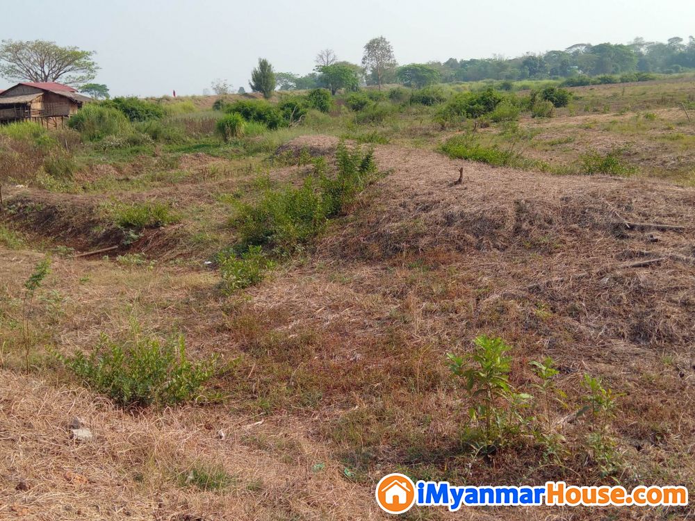 မြေကွက်ရောင်းရန် - ရောင်းရန် - လက်ပံတန်း (Letpadan) - ပဲခူးတိုင်းဒေသကြီး (Bago Region) - 200 သိန်း (ကျပ်) - S-11136443 | iMyanmarHouse.com