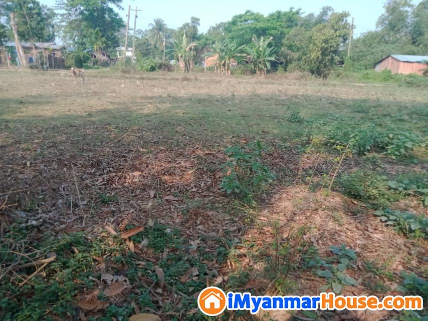 ရွာမြေရောင်းမည် - ရောင်းရန် - တိုက်ကြီး (Taikkyi) - ရန်ကုန်တိုင်းဒေသကြီး (Yangon Region) - 1,300 သိန်း (ကျပ်) - S-11181535 | iMyanmarHouse.com