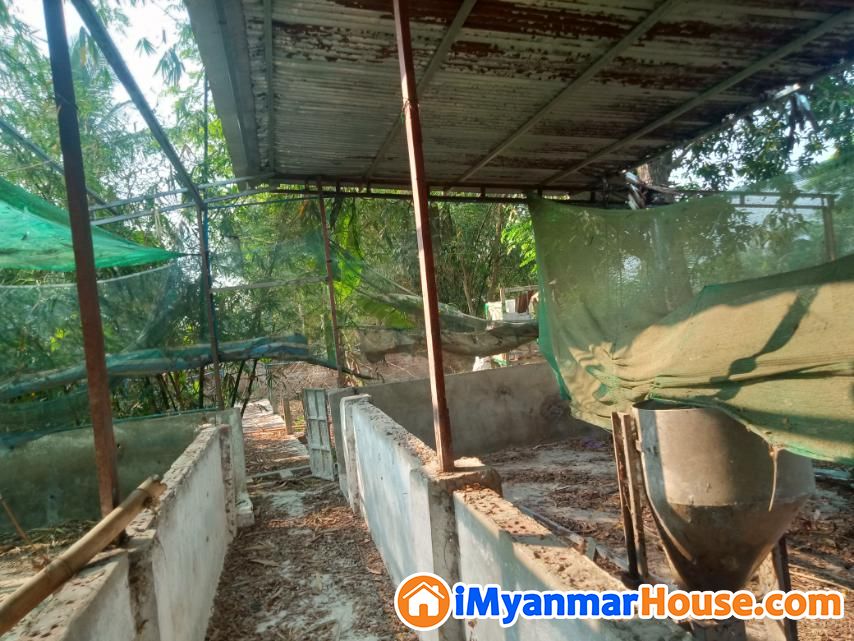 ရွာမြေရောင်းမည် - ရောင်းရန် - တိုက်ကြီး (Taikkyi) - ရန်ကုန်တိုင်းဒေသကြီး (Yangon Region) - 1,300 သိန်း (ကျပ်) - S-11181535 | iMyanmarHouse.com