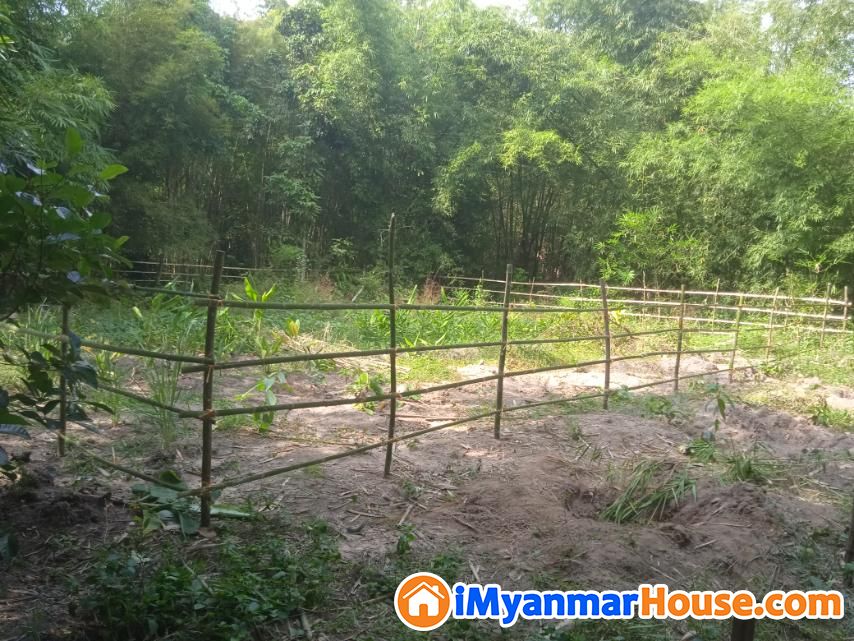 👉 တွံတေးမြို့နယ်၊ ပေါင်းတော်ချုပ်ဘုရားအနီးမြေကွက်-ခြံကွက်အရောင်းလေးနဲ့မိတ်ဆက်ပါရစေ - For Sale - တွံ့တေး (Twantay) - ရန်ကုန်တိုင်းဒေသကြီး (Yangon Region) - 190 Lakh (Kyats) - S-11184865 | iMyanmarHouse.com