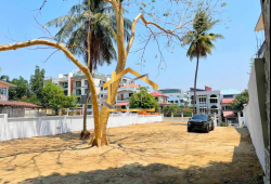 ေျမကြက္ အျမန္ ေရာင္းမည္