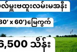 ေျမကြက္ အျမန္ ေရာင္းမည္