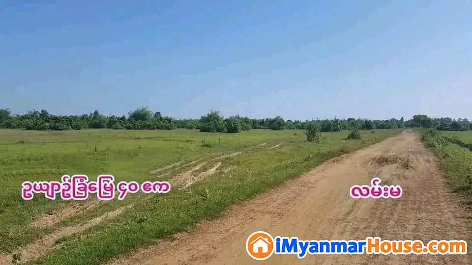 လက် မလွှတ်သင့်သော မြေ နေရာကောင်း များပါ - ရောင်းရန် - တိုက်ကြီး (Taikkyi) - ရန်ကုန်တိုင်းဒေသကြီး (Yangon Region) - 45 သိန်း (ကျပ်) - S-11425759 | iMyanmarHouse.com