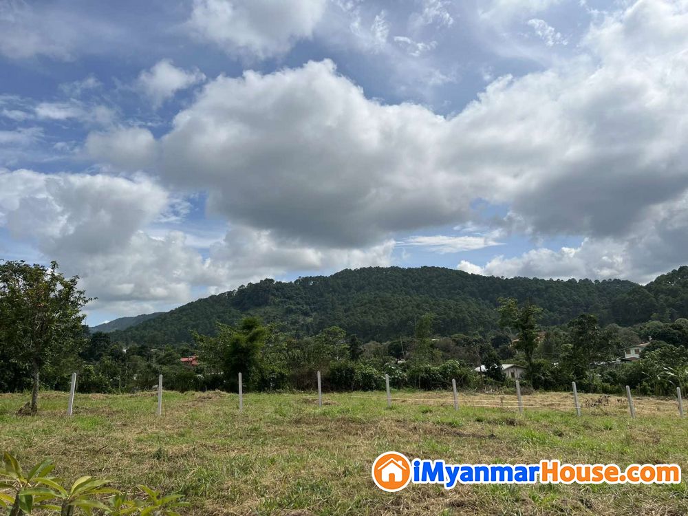 အေးချမ်းသာယာလှတဲ့ ကလောမြို့ လေးရှိ ပိုင်ဆိုင်မှုခိုင်မာတဲ့ ဂရမ်မြေ မြေကွက်ကျယ် လေး ပိုင်ရှင်ကိုယ်တိုင်အမြန်ရောင်းမည် 🌷 - ရောင်းရန် - ကလော (Kalaw) - ရှမ်းပြည်နယ် (Shan State) - 27,000 သိန်း (ကျပ်) - S-11783232 | iMyanmarHouse.com
