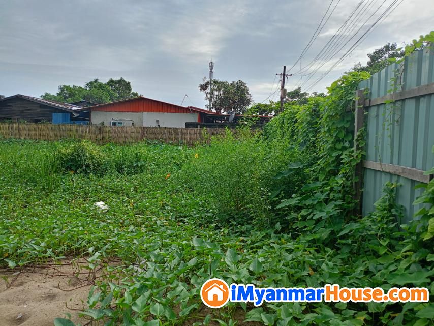 ပိုင်ဆိုင်မှုခိုင်မာတဲ့ မြောက်ဥကလာပ Vip ကွက်သစ်ရှိ ရှားပါးမြေကွက်လေးပိုင်ရှင်ကိုယ်တိုင်အမြန်ရောင်းမည်။ ✨ - ရောင်းရန် - မြောက်ဥက္ကလာပ (North Okkalapa) - ရန်ကုန်တိုင်းဒေသကြီး (Yangon Region) - 8,100 သိန်း (ကျပ်) - S-11828367 | iMyanmarHouse.com