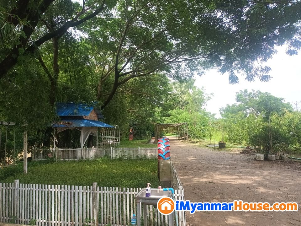 အပန်းဖြေဖို့ပဲဖြစ်ဖြစ် ရင်းနှီးမြုပ်နှံထားဖို့ပဲဖြစ်ဖြစ် ဝယ်ယူထားသင့်တဲ့Green Hope အပန်းဖြေခြံရောင်းမည် - ရောင်းရန် - သံလျင် (Thanlyin) - ရန်ကုန်တိုင်းဒေသကြီး (Yangon Region) - 3,500 သိန်း (ကျပ်) - S-11831981 | iMyanmarHouse.com