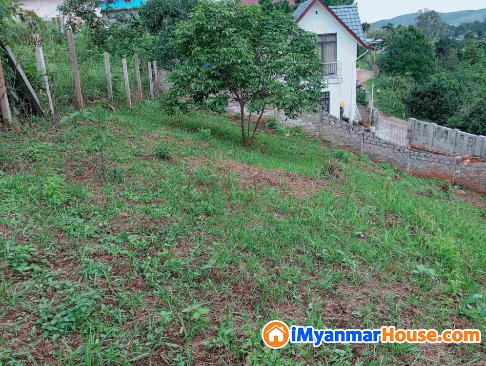 ကလောမြို့ ရပ်ကွက်၉ viewလှမြေကွက်အရောင်း - ရောင်းရန် - ကလော (Kalaw) - ရှမ်းပြည်နယ် (Shan State) - 2,800 သိန်း (ကျပ်) - S-11853360 | iMyanmarHouse.com