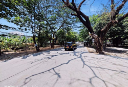 မြောက်ဒဂုံမြို့နယ် ၂၈ရပ်ကွက် #မဟာဗန္ဓုလလမ်းမပေါ်ထောင့်ကွက်ရောင်းမည်