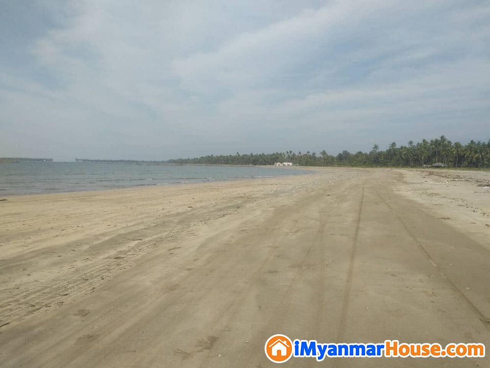 For Sale Sea View Land, ေခ်ာင္းသာ ႏွင့္ေင ြ ေဆာင္ျကား ကန္ျကီးကမ္းေျခ