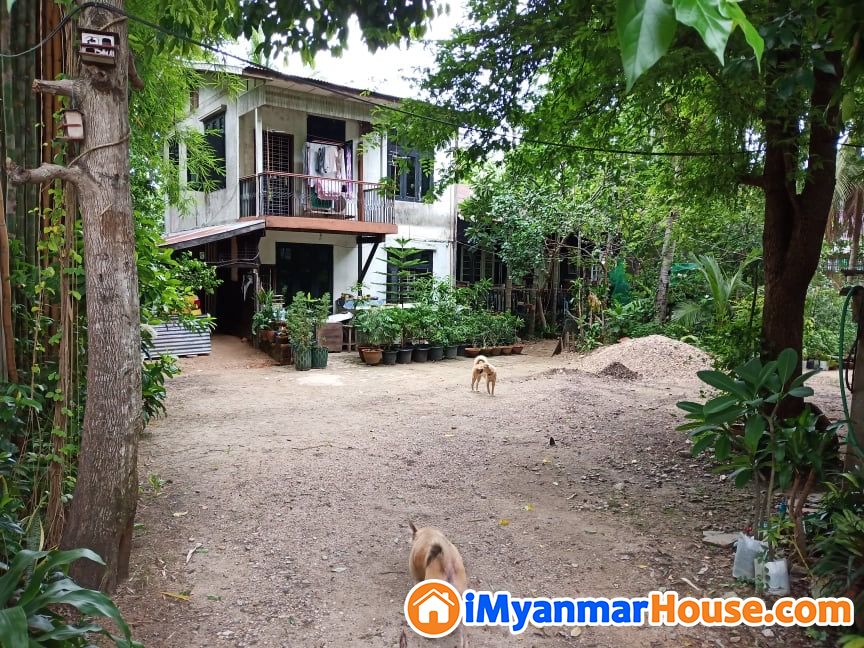 ခြံဝင်းကျယ် ဆိတ်ငြိမ်ရပ်ကွက် ရောင်းမည် - ရောင်းရန် - မရမ်းကုန်း (Mayangone) - ရန်ကုန်တိုင်းဒေသကြီး (Yangon Region) - 3,700 သိန်း (ကျပ်) - S-10530699 | iMyanmarHouse.com