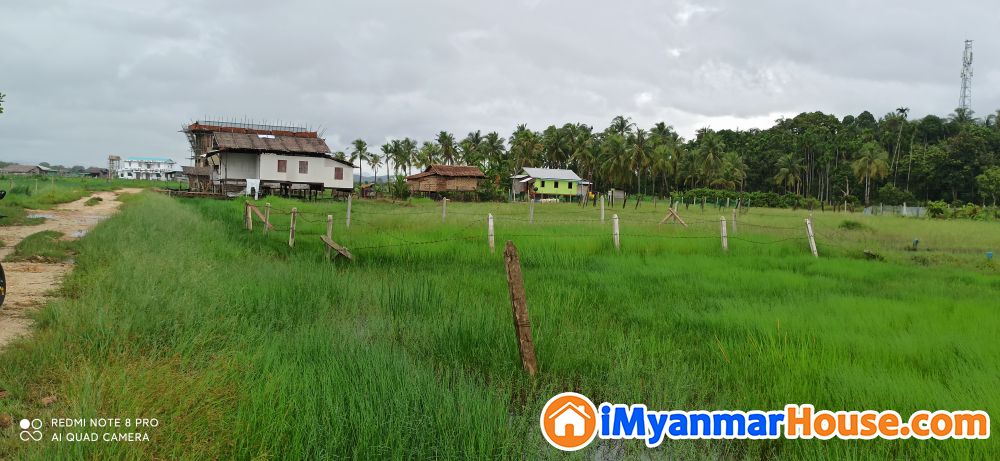 မြေကွက်ရောင်းရန်ရှိသည် - ရောင်းရန် - မြိတ် (Myeik) - တနင်္သာရီတိုင်းဒေသကြီး (Tanintharyi Region) - 90 သိန်း (ကျပ်) - S-9191791 | iMyanmarHouse.com
