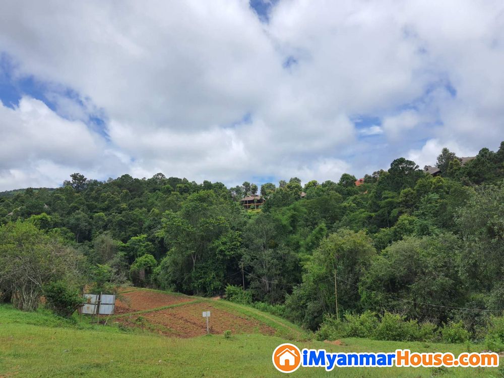 High Potential 8 Acre land in Kalaw - For Sale - ကလော (Kalaw) - ရှမ်းပြည်နယ် (Shan State) - 16,000 Lakh (Kyats) - S-9327532 | iMyanmarHouse.com