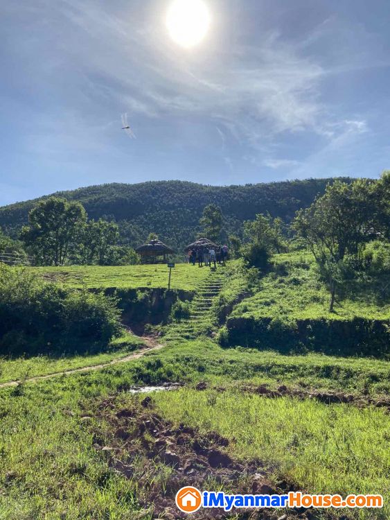 High Potential 8 Acre land in Kalaw - ရောင်းရန် - ကလော (Kalaw) - ရှမ်းပြည်နယ် (Shan State) - 16,000 သိန်း (ကျပ်) - S-9327532 | iMyanmarHouse.com