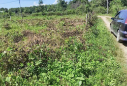 high potential land in Myitkyina