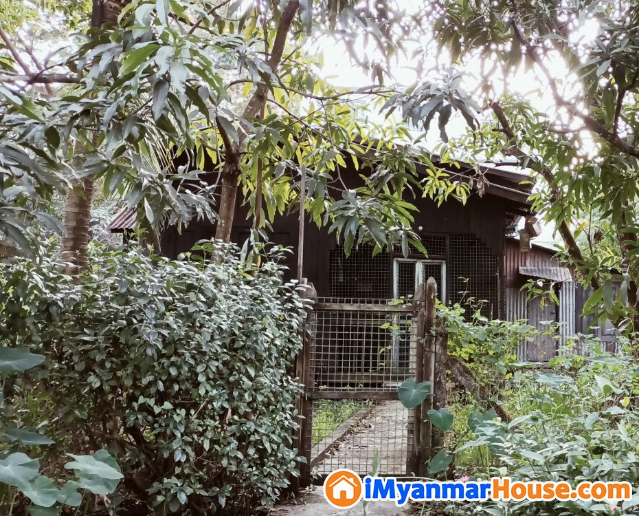 မြောက်ဒဂုံ ၃၈ရပ်ကွက် ဗန္ဓုလလမ်းမကျောကပ်ထောင့်ကွက်နေရကောင်း - ရောင်းရန် - ဒဂုံမြို့သစ် မြောက်ပိုင်း (Dagon Myothit (North)) - ရန်ကုန်တိုင်းဒေသကြီး (Yangon Region) - 1,850 သိန်း (ကျပ်) - S-9675290 | iMyanmarHouse.com