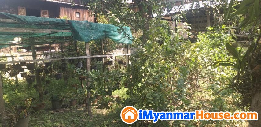 ပေအကျယ် (၁၀၀×၁၀၀) လုံးချင်း အိမ်နှင့်ခြံ ရောင်းမည်။ - ရောင်းရန် - မိုးညှင်း (Mohnyin) - ကချင်ပြည်နယ် (Kachin State) - 2,500 သိန်း (ကျပ်) - S-9952321 | iMyanmarHouse.com